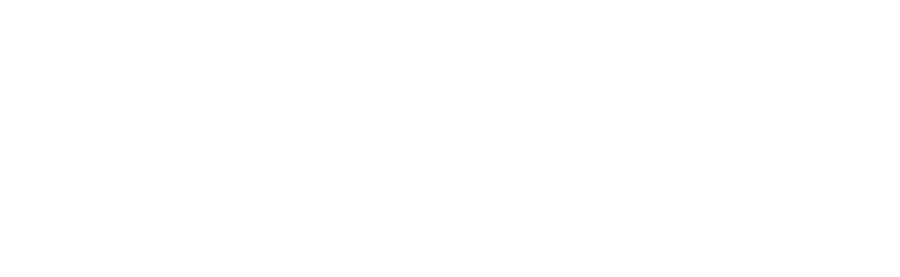 Nice Ply Company Logo